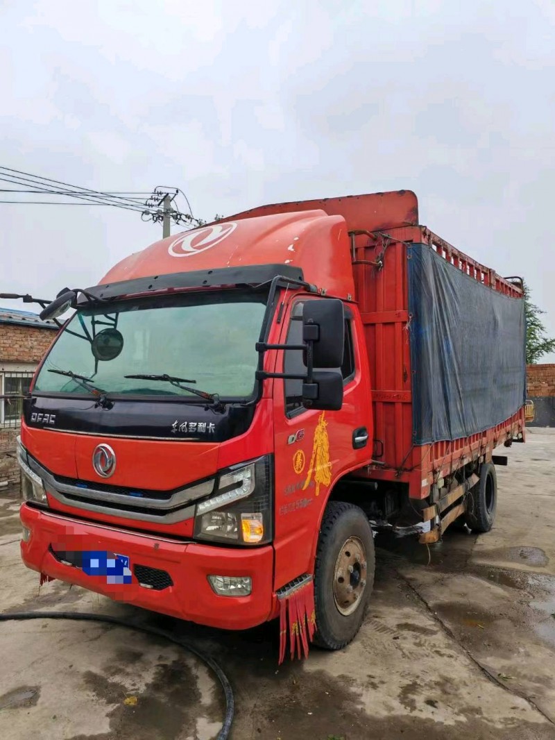 保定20年东风多利卡1