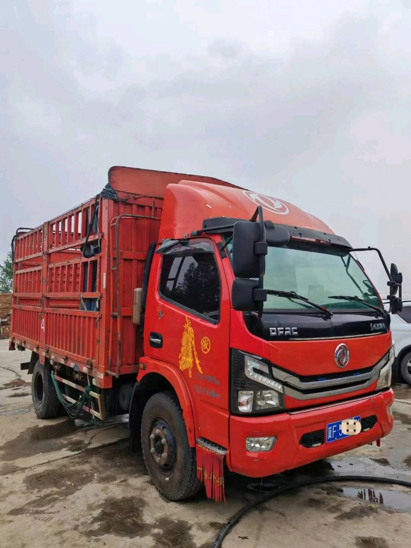 保定20年东风多利卡2