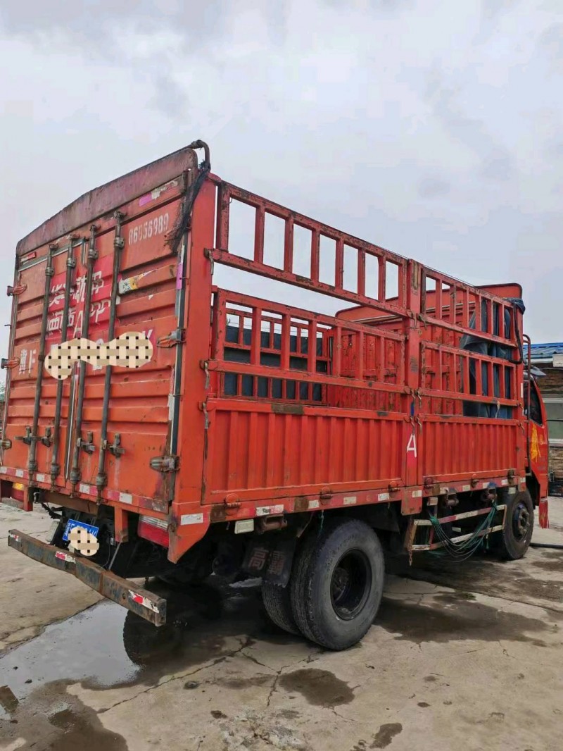 保定20年东风多利卡6