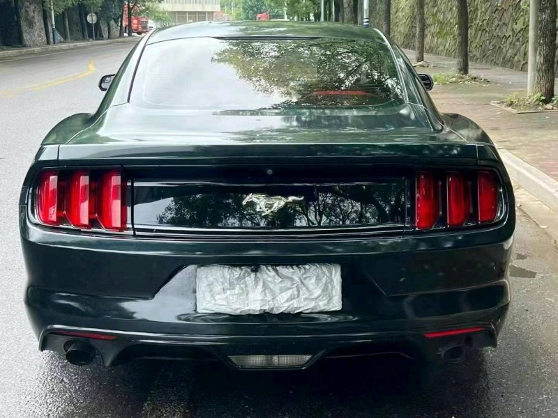 邵阳17年福特野马6