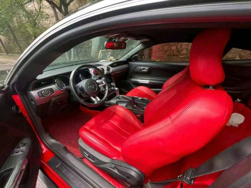 邵阳17年福特野马7