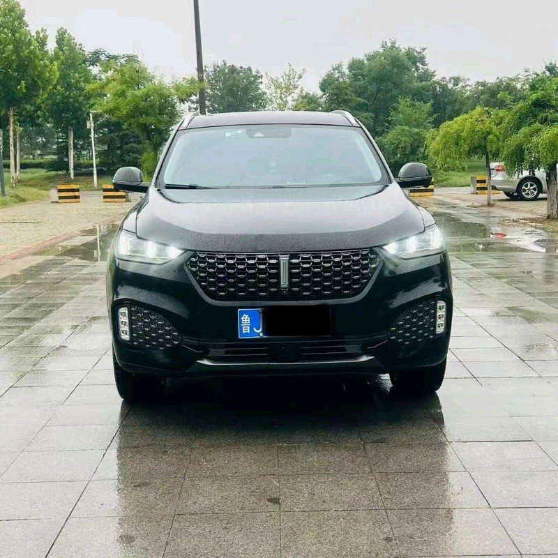 东营20年长城汽车WEY VV61