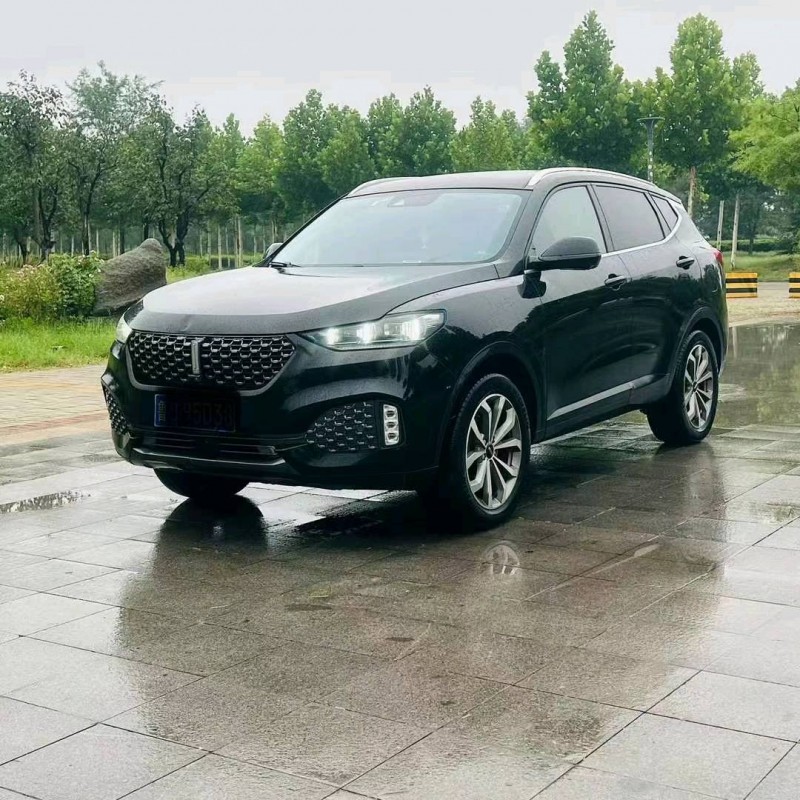 东营20年长城汽车WEY VV62