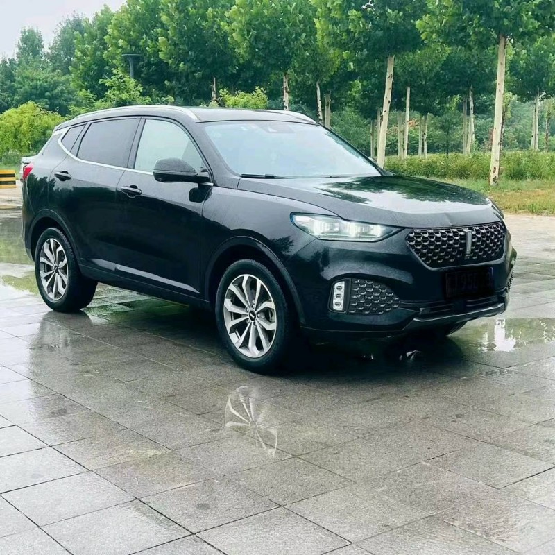 东营20年长城汽车WEY VV63