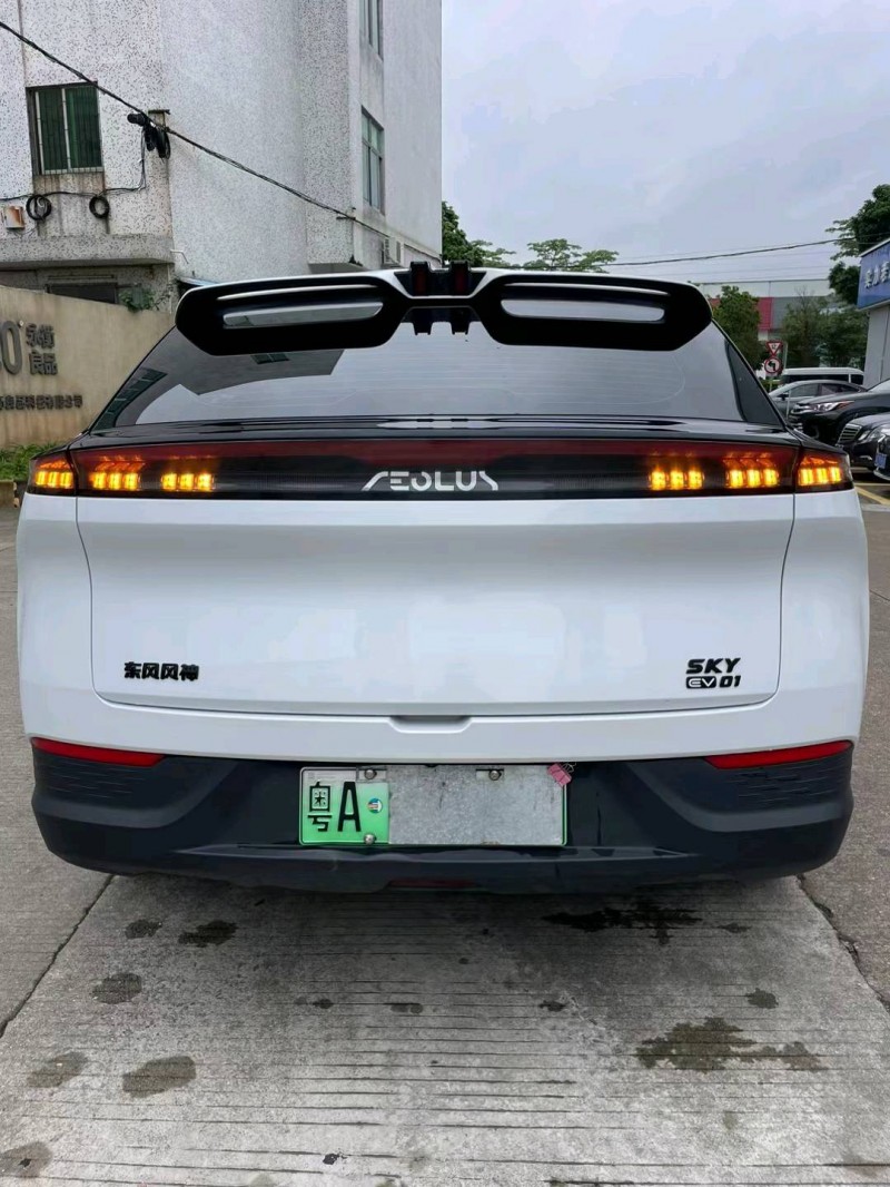 中山24年东风概念车9