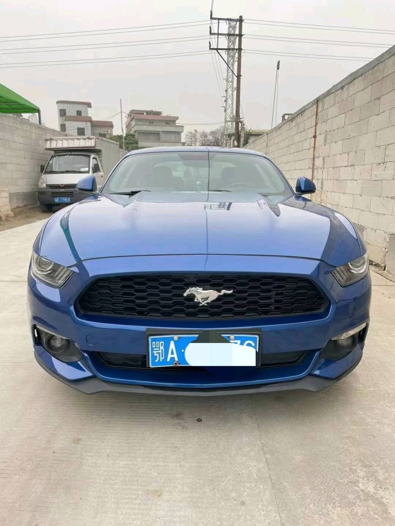 佛山18年福特野马1