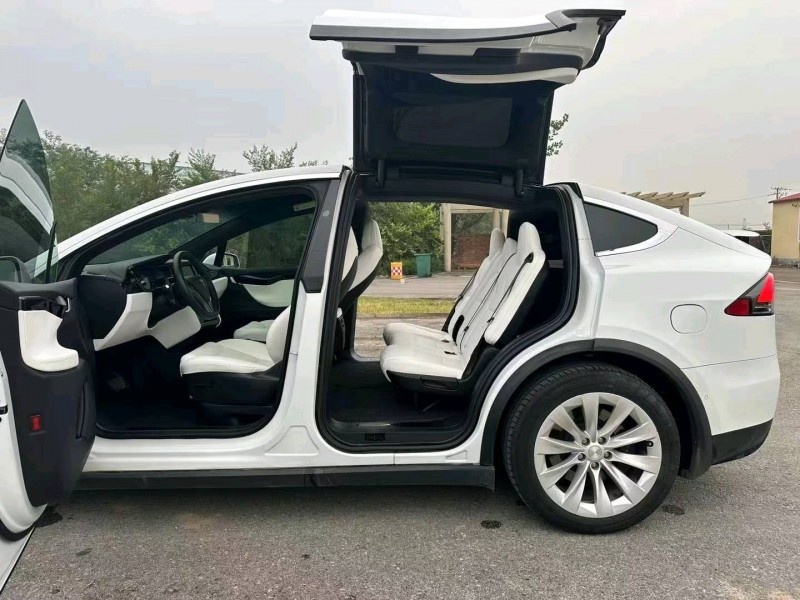 滄州21年特斯拉MODEL Y5