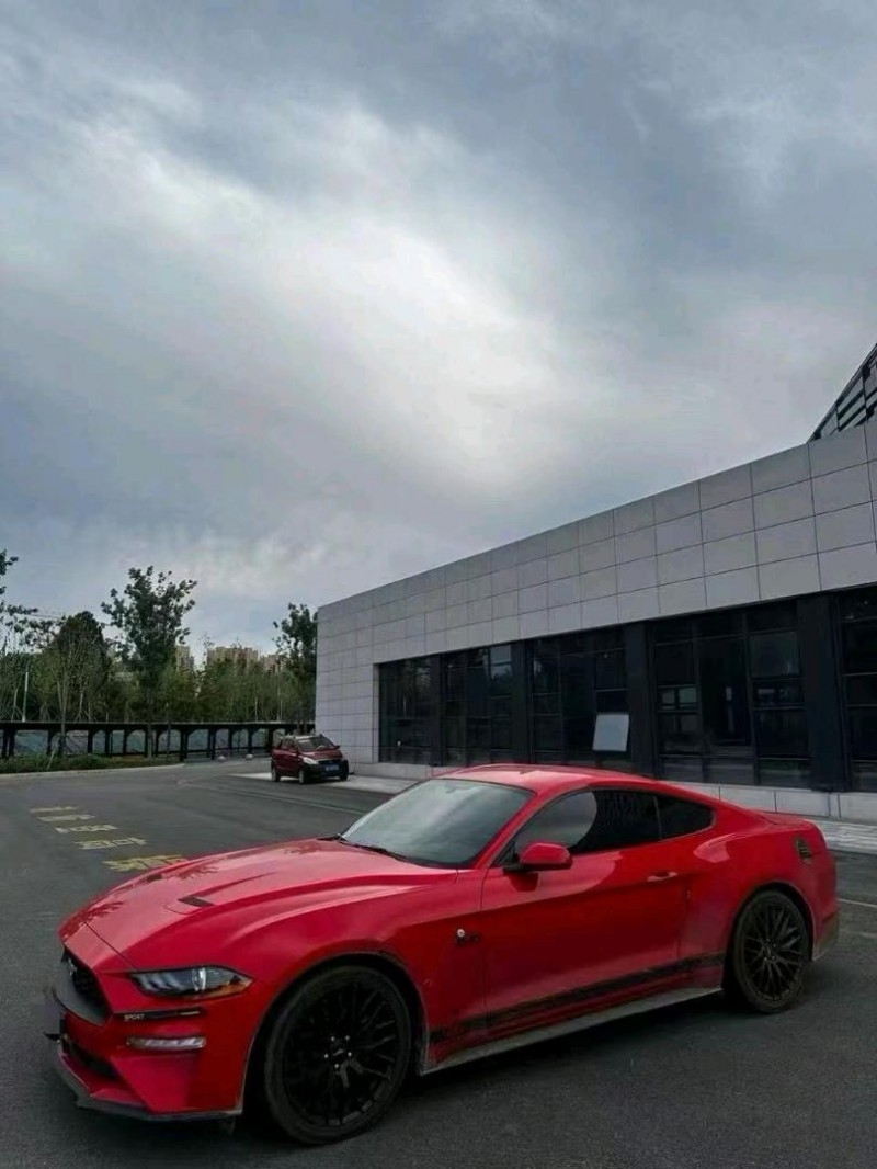 聊城18年福特野马3