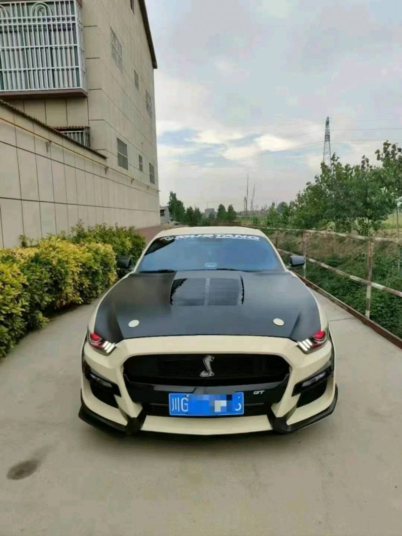 菏泽15年福特野马1