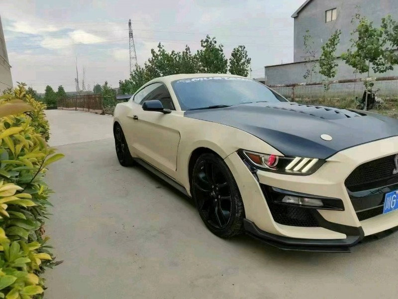 菏泽15年福特野马2