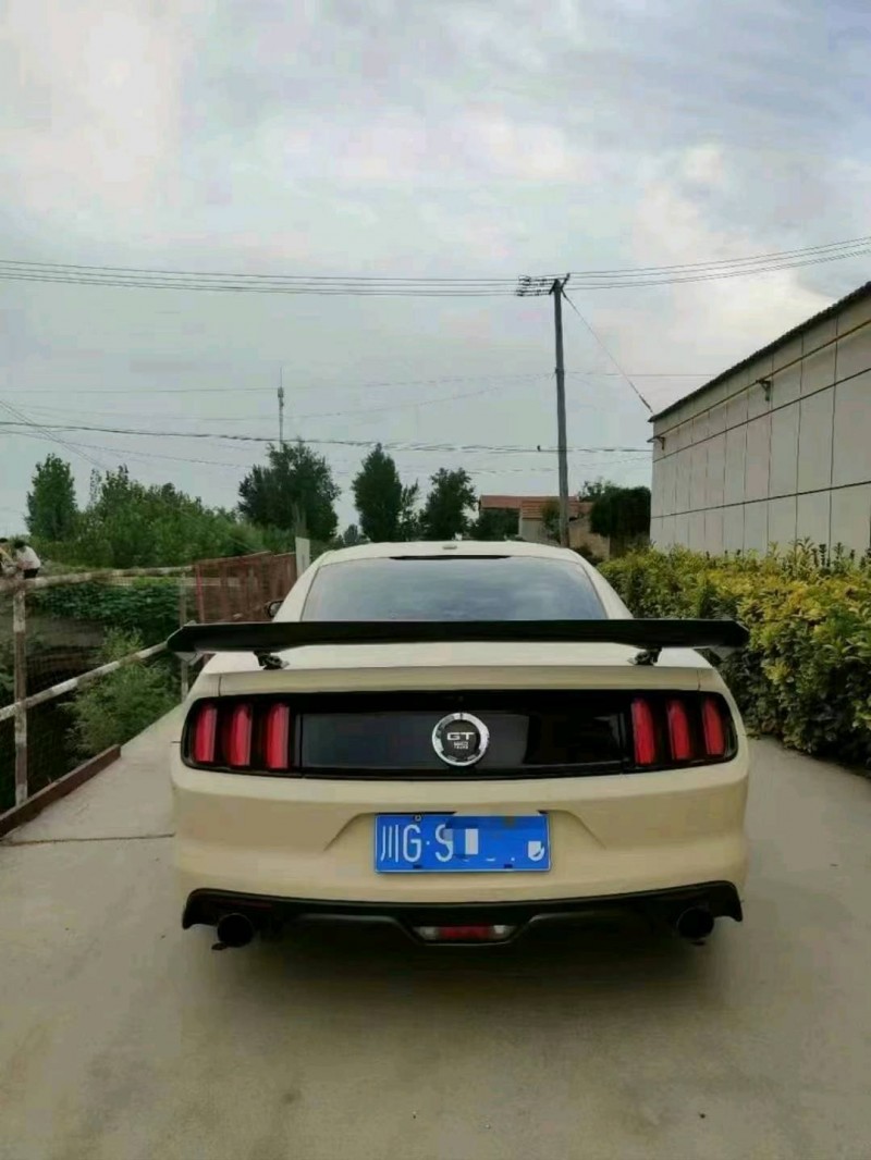 菏泽15年福特野马4