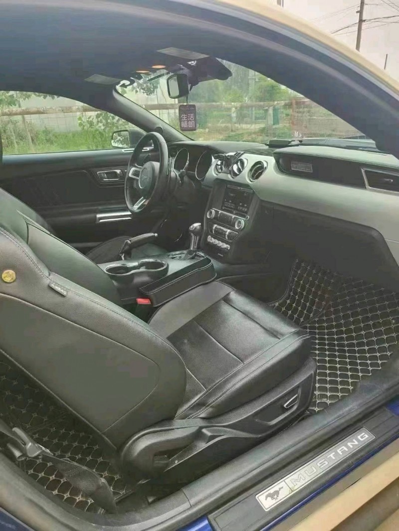 菏泽15年福特野马9