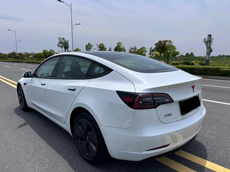 鹽城23年特斯拉MODEL 39