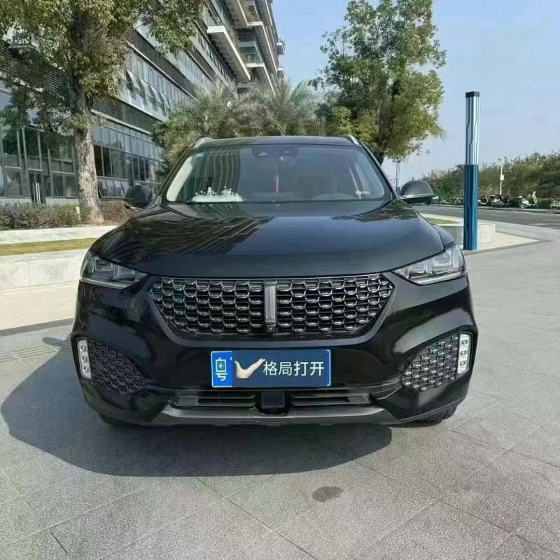 东莞20年长城汽车WEY VV61