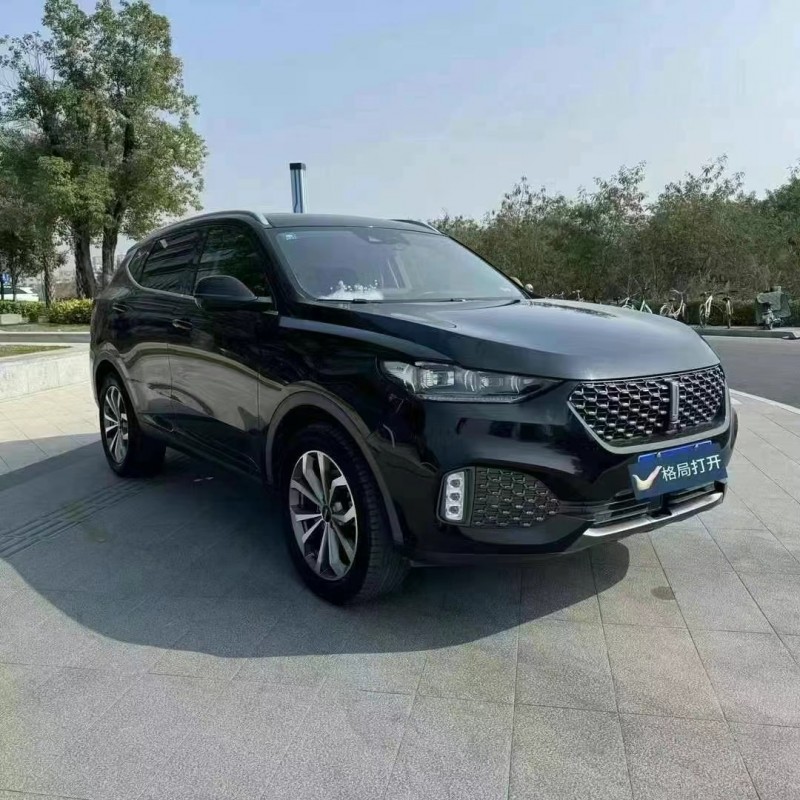 东莞20年长城汽车WEY VV62