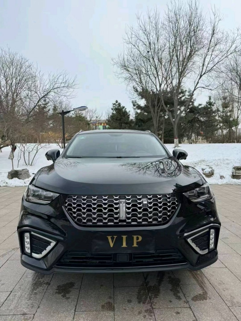 邢台20年长城汽车WEY VV51
