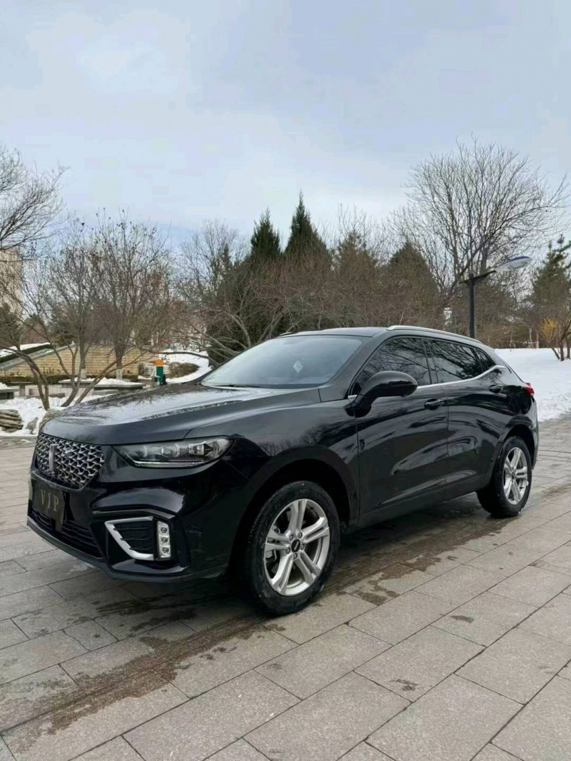 邢台20年长城汽车WEY VV52