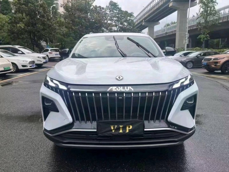 益陽23年東風風神1