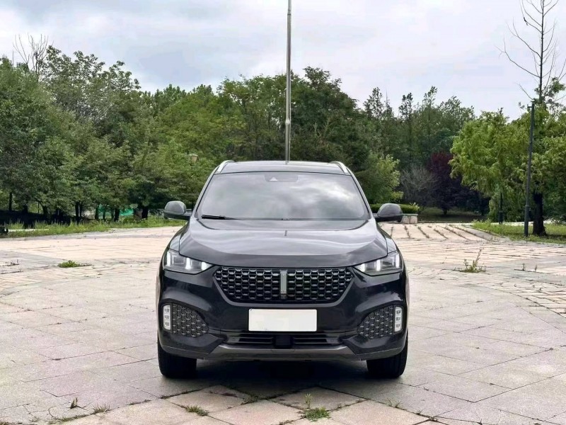 烟台20年长城汽车WEY VV61