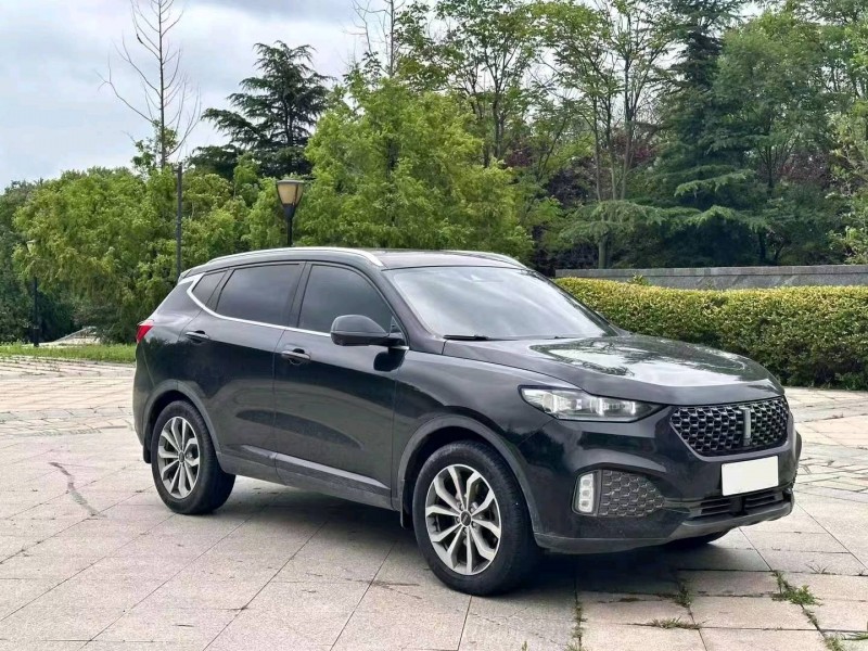 烟台20年长城汽车WEY VV65