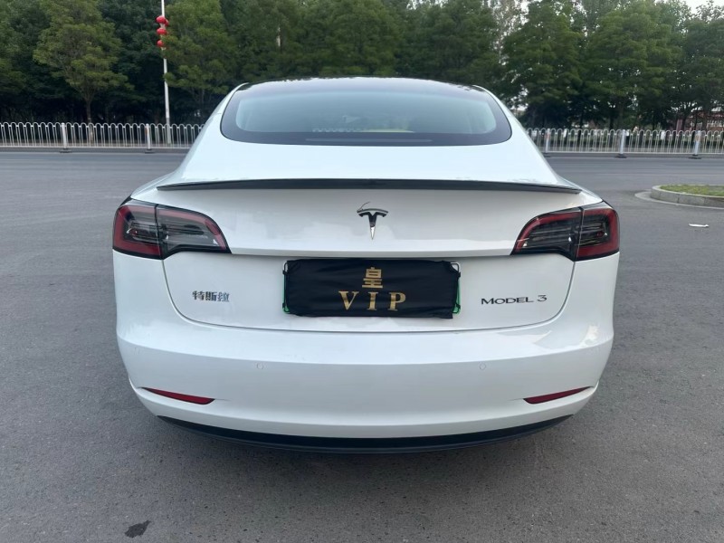 徐州22年特斯拉MODEL 39