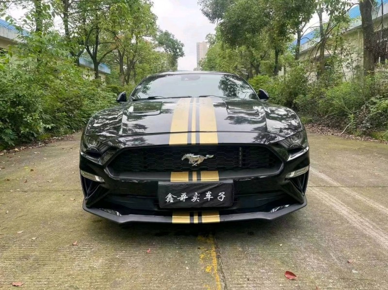 邵阳19年福特野马1