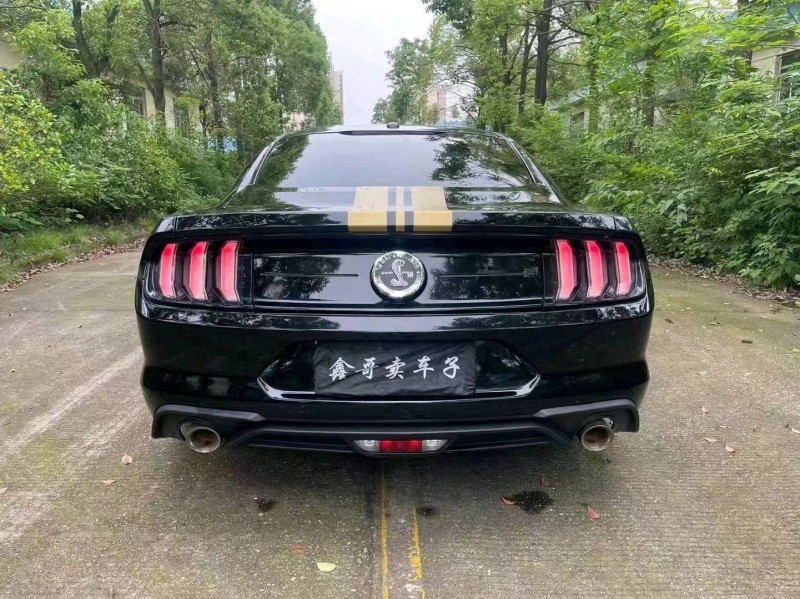 邵阳19年福特野马2