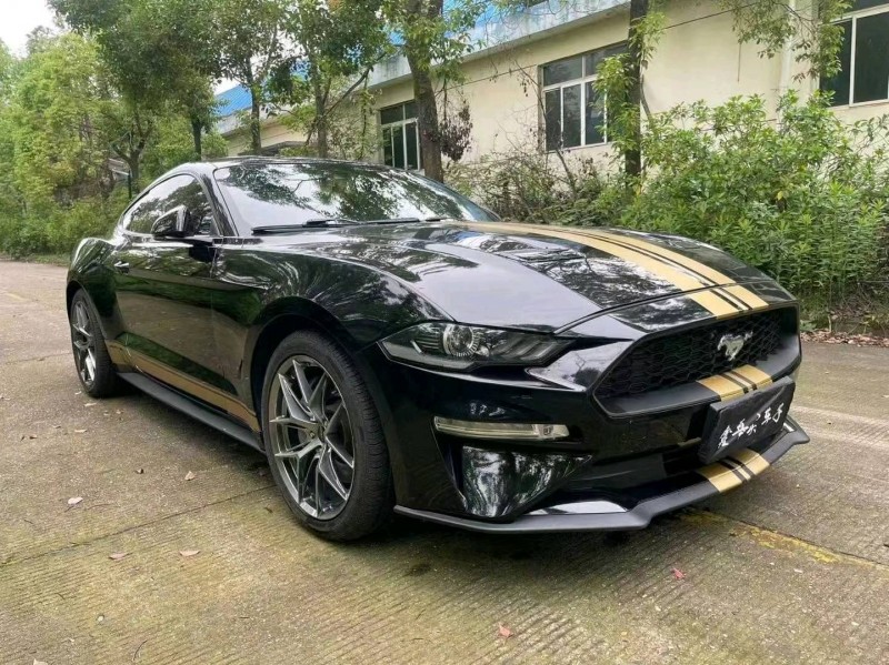 邵阳19年福特野马4