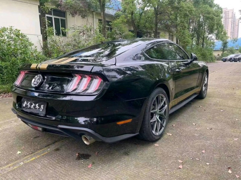 邵阳19年福特野马8