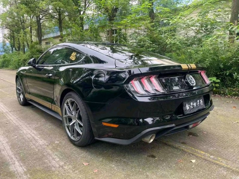 邵阳19年福特野马9