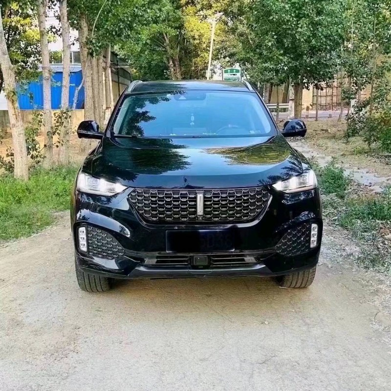 潍坊20年长城汽车WEY VV61