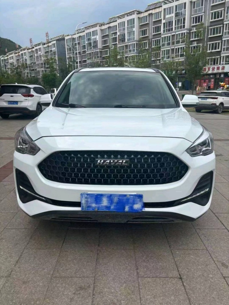 邢台20年哈弗M61