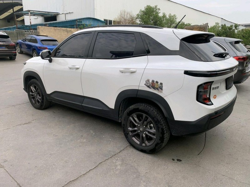 徐州20年寶駿RS36