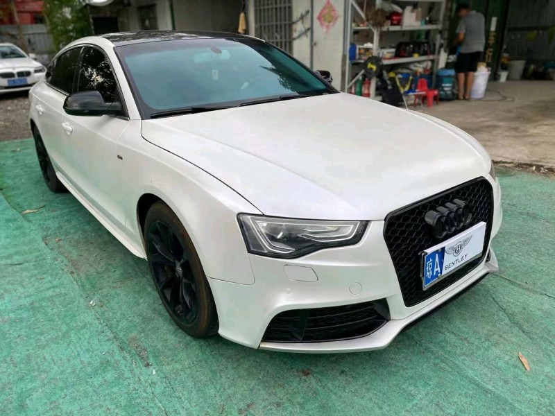 广州16年奥迪A53