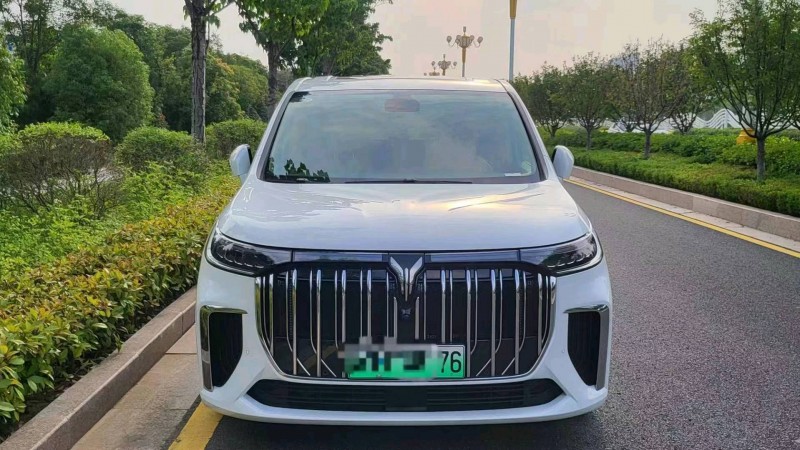 淮安24年嵐圖汽車夢想家1
