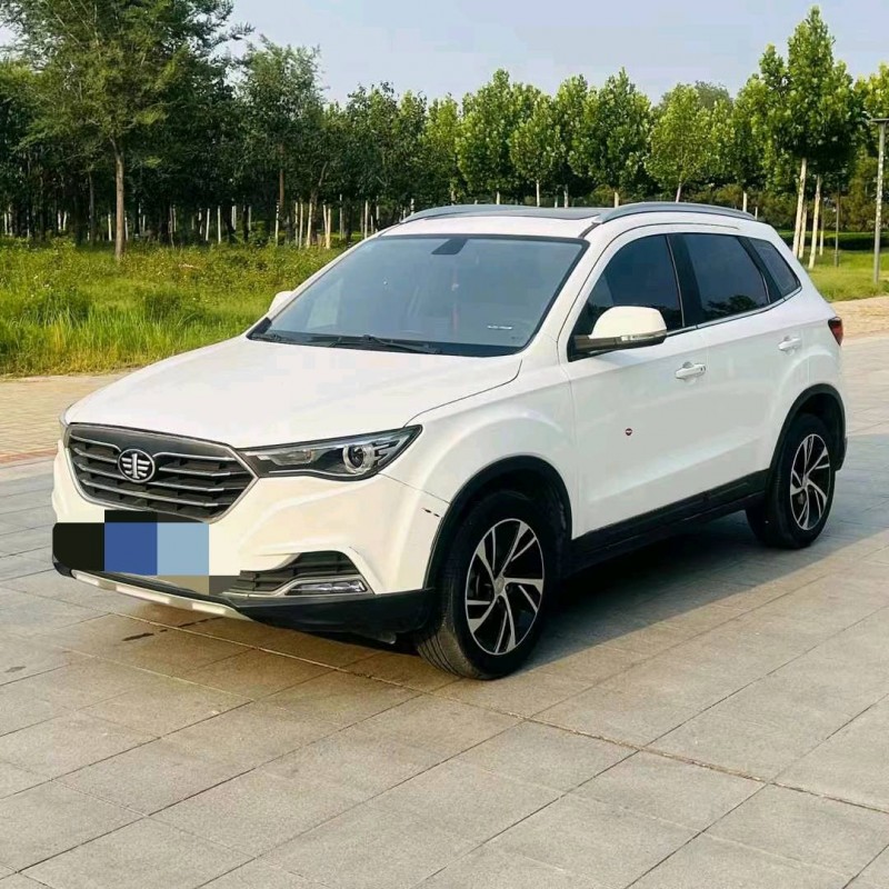 泰安19年奔騰X402