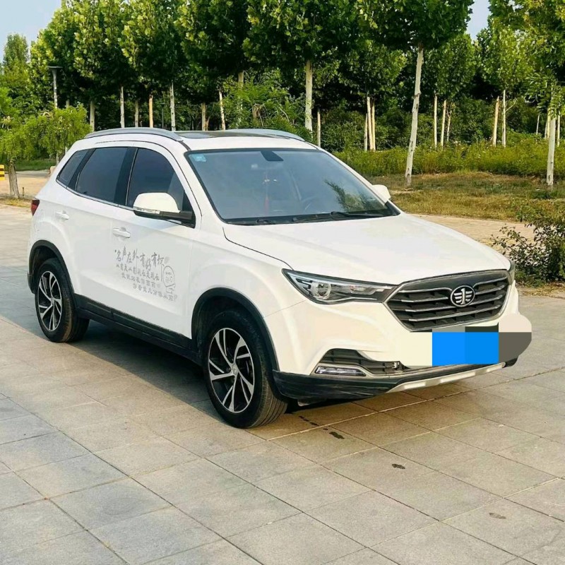 泰安19年奔騰X403