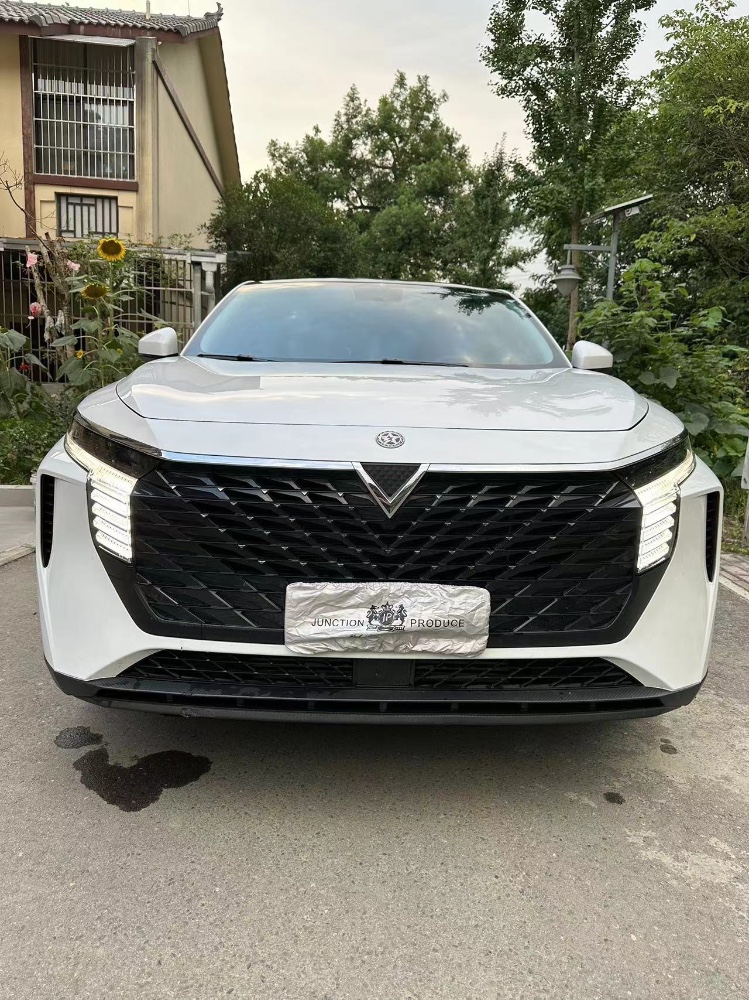 成都21年啟辰大V1