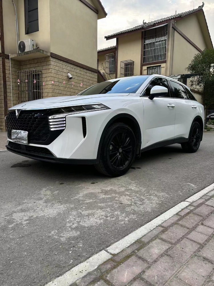 成都21年啟辰大V3