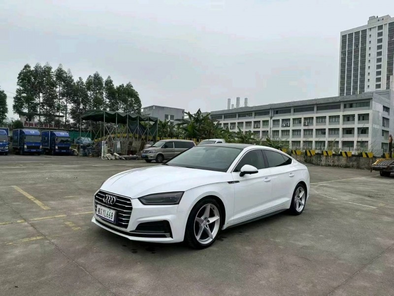 南寧18年奧迪A52