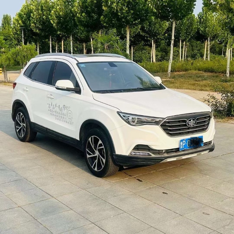 聊城19年奔騰X403