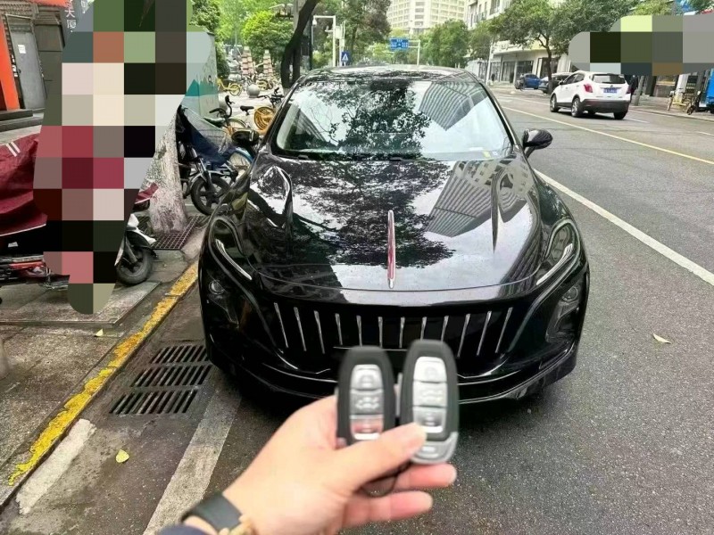 武汉24年红旗E-QM51