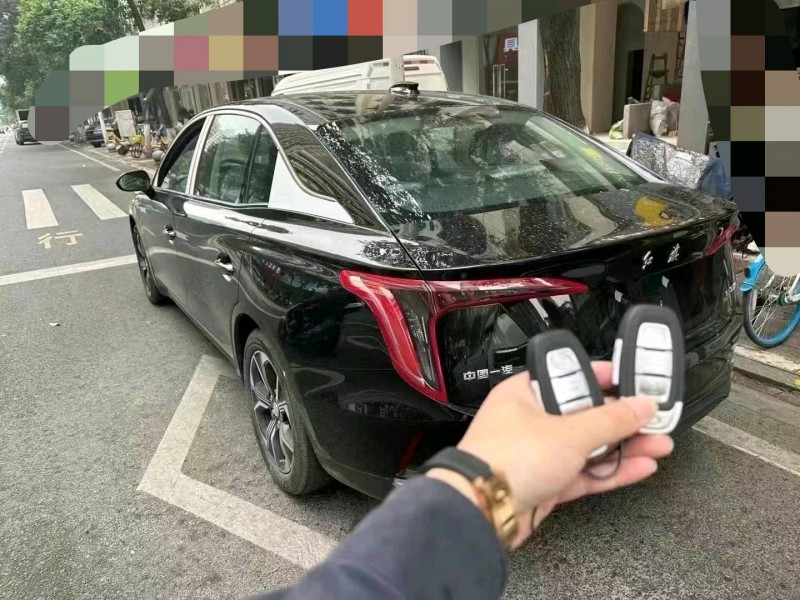 武汉24年红旗E-QM59