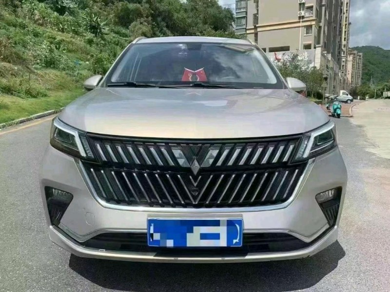 泉州22年五菱汽車佳辰1