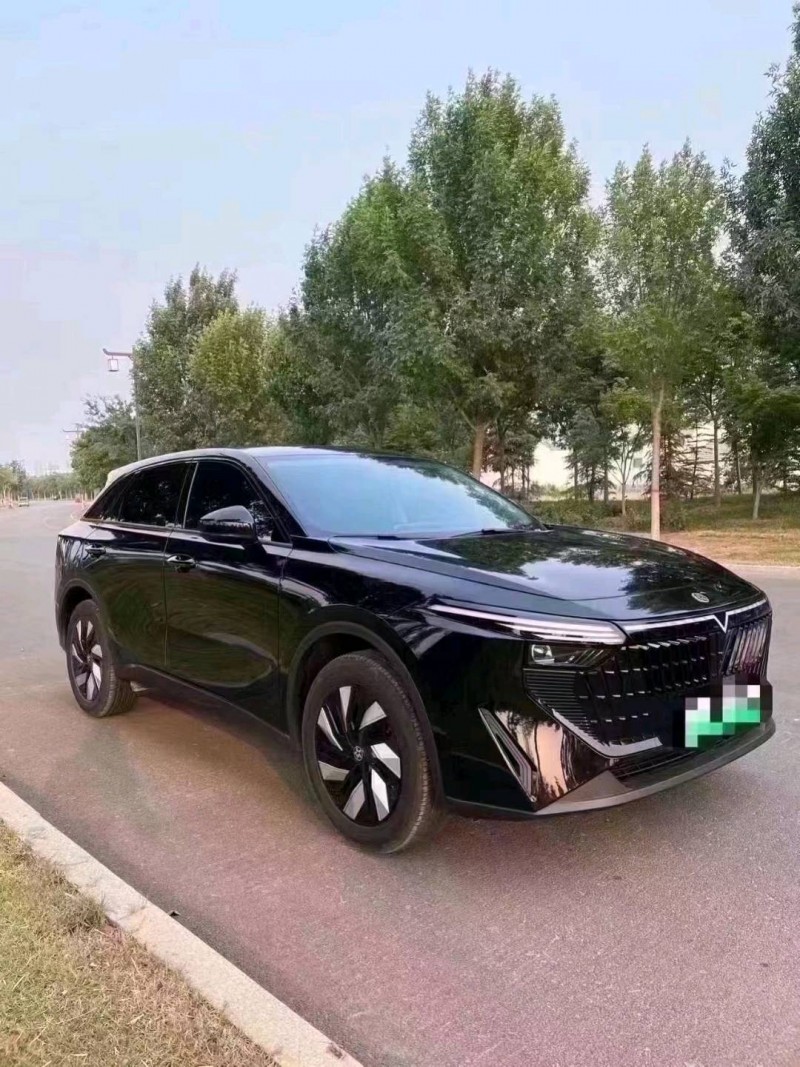 濱州24年啟辰大V4