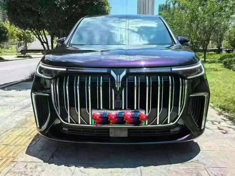 鄂州22年嵐圖汽車夢想家1