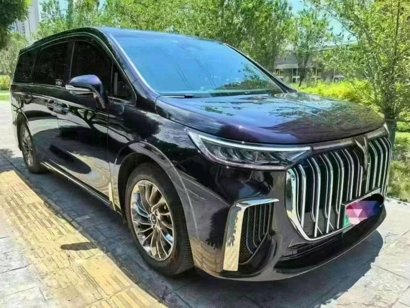 鄂州22年嵐圖汽車夢想家2