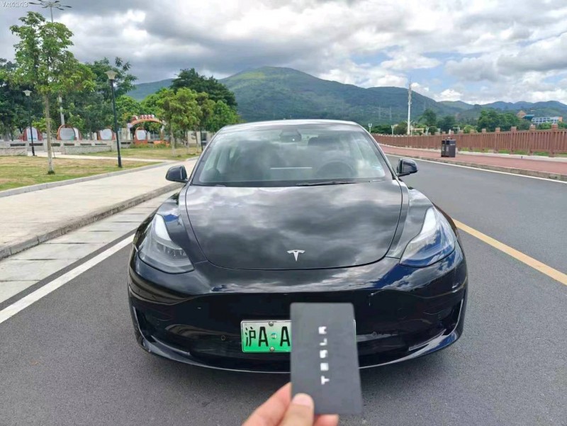 廣州21年特斯拉MODEL 31