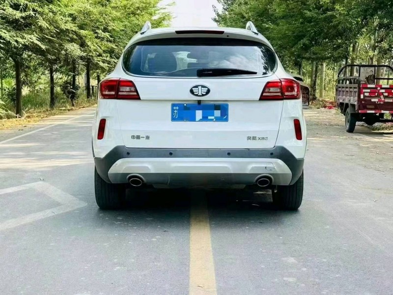 蘇州17年奔騰X804
