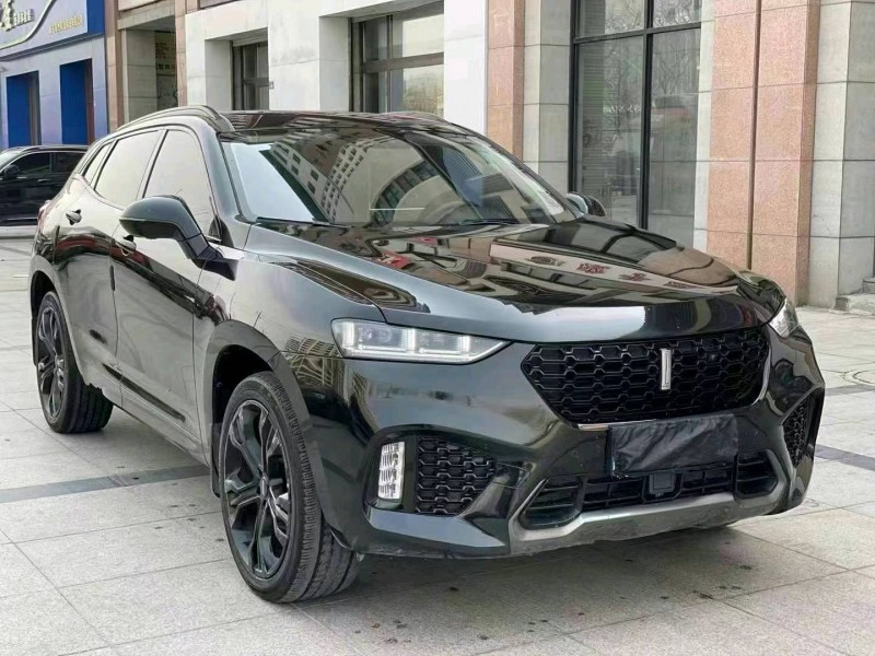 潍坊19年长城汽车WEY VV73